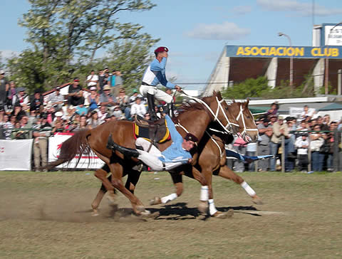 Foto Expo Santa Rosa