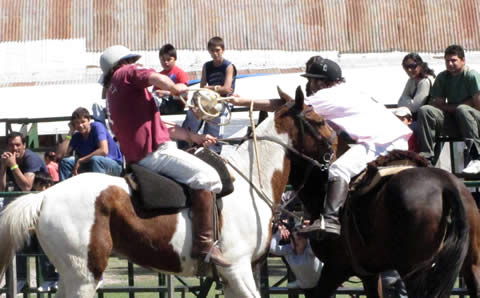 Foto Expo Santa Rosa