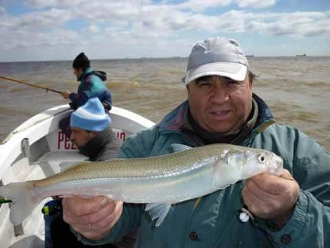 Pesca de dorados y mimosos en Berisso