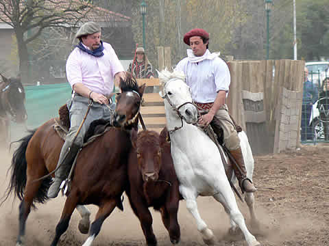 Expo Provincial del Caballo