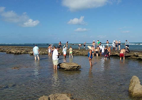 Excursión en Playa Gunga