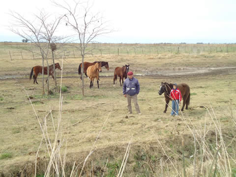 Ruta Provincial 70