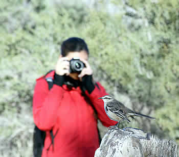 Avistajes en la Reserva Parque Luro