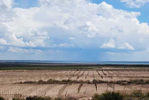 Bodega Catena Zapata en Casa de Piedra