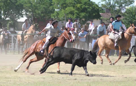 Fiesta del Día Nacional del Gaucho