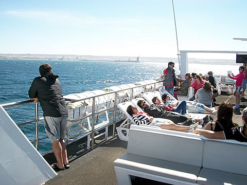 crucero "Regina Australe" en Puerto Madryn