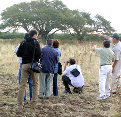 Día Internacional de los Bosques