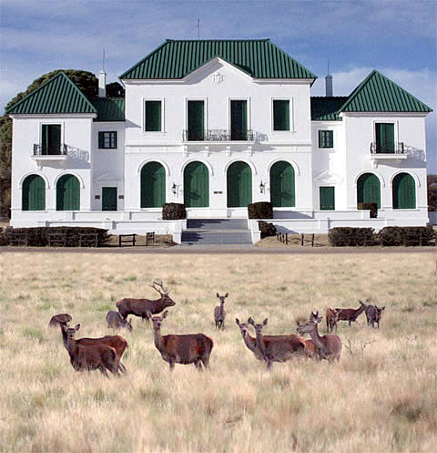 Avistaje de Ciervos en la época de Brama en la Reserva Natural Parque Luro