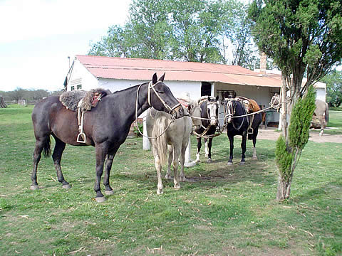 FOTO: Cabalgata de Semana Santa