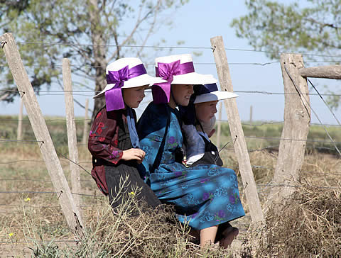 FOTO: Menonitas en La Pampa