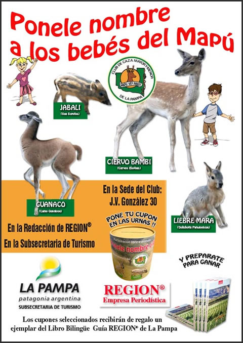 Ponele nombre a los bebés del Mapú